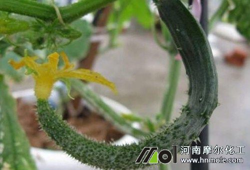 �S�Ϲ������Lԭ��