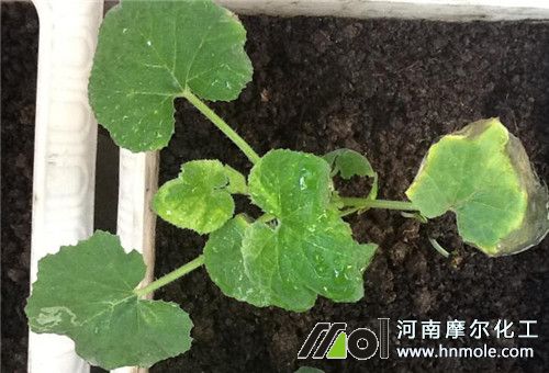 ���J����׷��