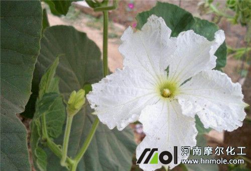 ���J�_����׷��