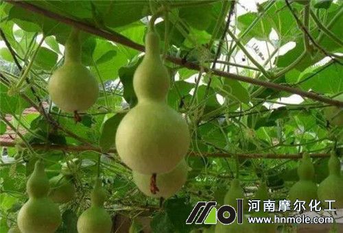 ���J�Y����׷��