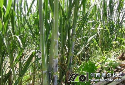 �����к���׷��