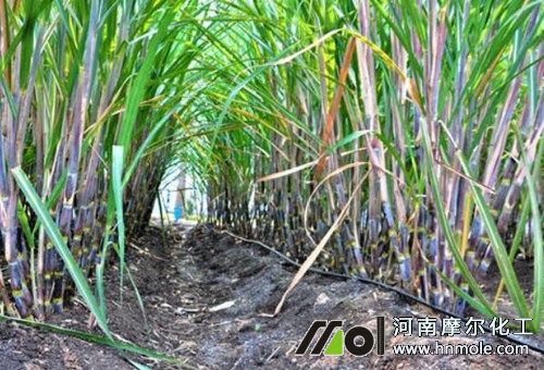 ����ι�׷��