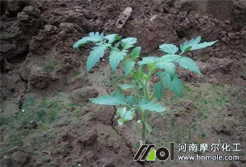 ��������׷��