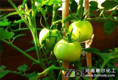 ���ѽY����׷��