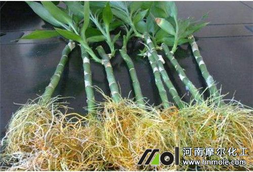 ������ˮ�ܷ���