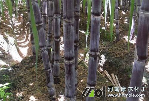 ����ʩ��