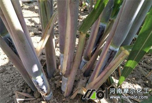 ������Y��׷��