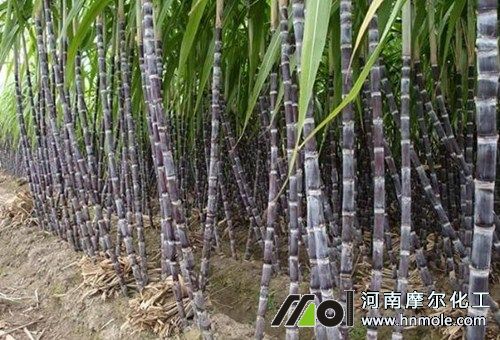 �����β��׷��