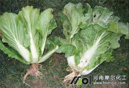 ˮ�ܷ����aЧ��