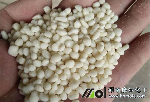 ��ݮ����ʩ��