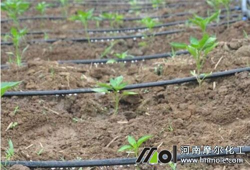 �r����͜���ʩ�ʼ���