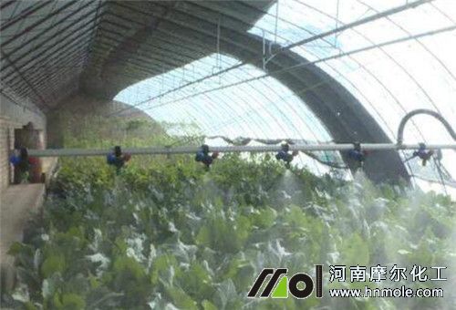 �r����͜���ʩ���l��