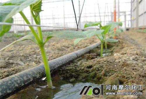 �҇�(gu��)�F(xi��n)�����r(n��ng)���ИI(y��)�l(f��)չ