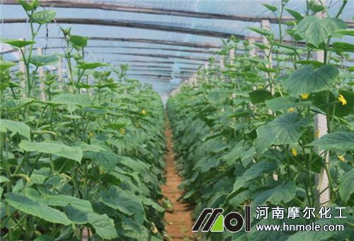 ˮ�ܷ��m�õط�