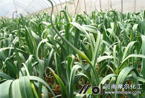 �����޷��ʩ��