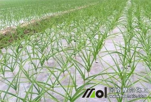 ���ⷵ����ʩ��