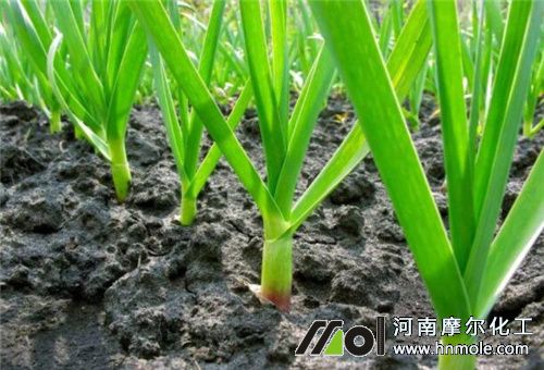 ��������ʩ��