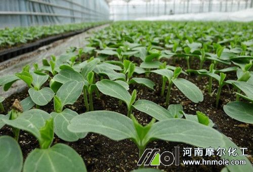 ������|ʹ��ˮ�ܷ�