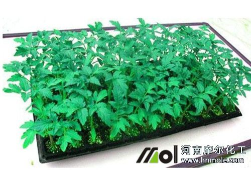 �����ʹ��ע��