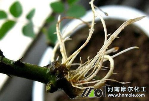 ������ʹ��Ч��