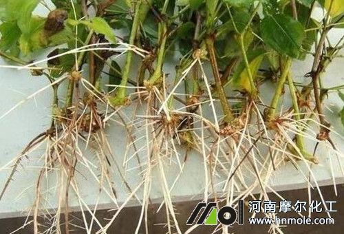 ������ʹ��Ч��