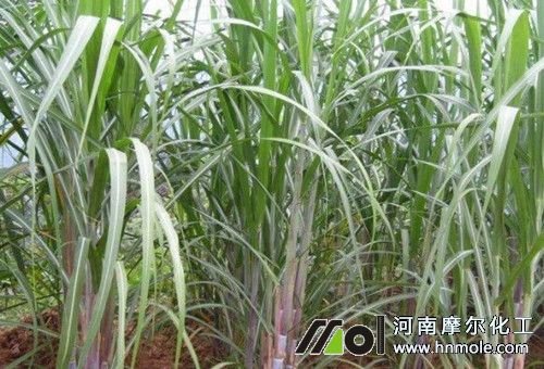 ����Nֲ�o����׷��