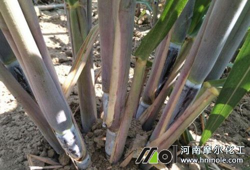 ����Nֲ���Y��׷��