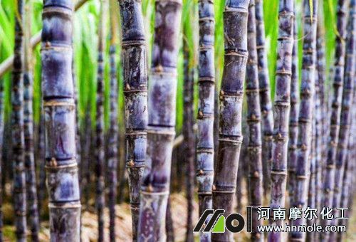 �������ʩ��