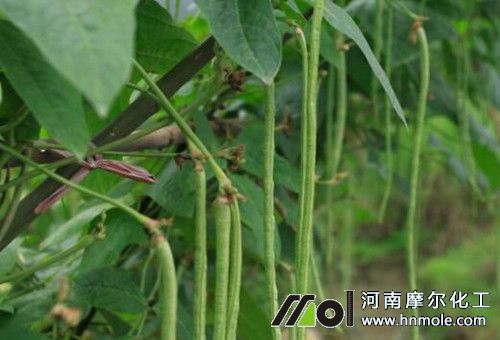 ���ﶹ�Ǜ_ˮ�ܷ�