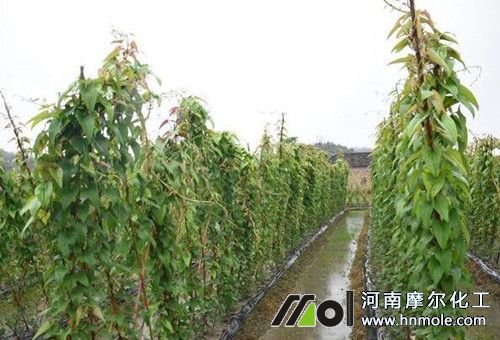 ɽˎ�L��ʩ��