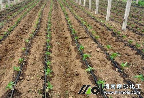 ˮ�ܷ����Օr�g