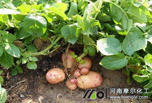 ����������c