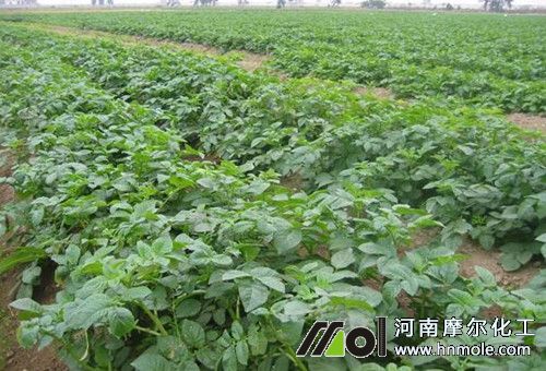 ˮ�ܷ�һ��������