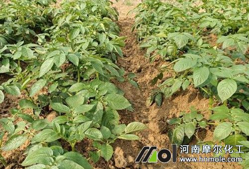 �����ܷ�_ˮ�ܷ�