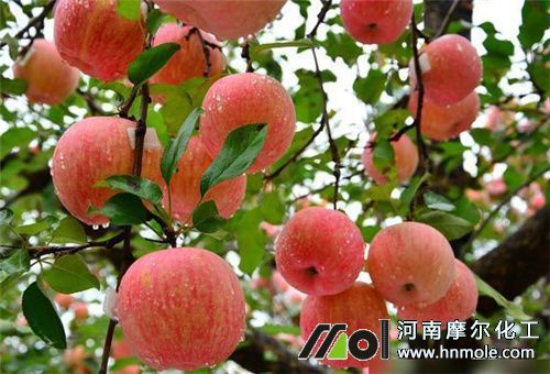 ����ʩˮ�ܷʺ�߀�ǻ���