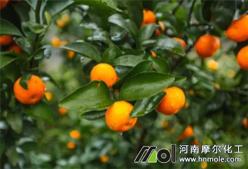 ����ʩˮ�ܷʺ�߀�ǻ���