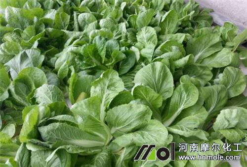 ˮ�ܷ�ҊЧ��