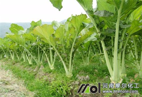 ˮ�ܷ�ʹ��ע��