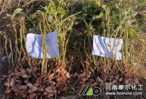 ˮ�ܷ�ԇ򞌦��