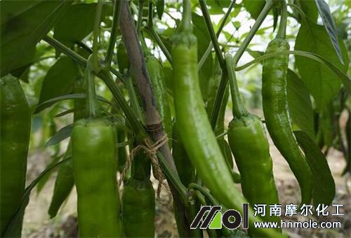 ����׷�ʷ�ʽ�x��