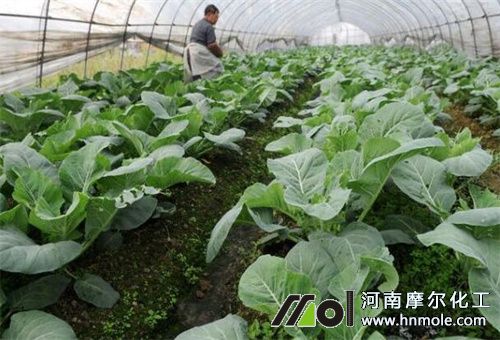 ����ʩ��Ҫ��