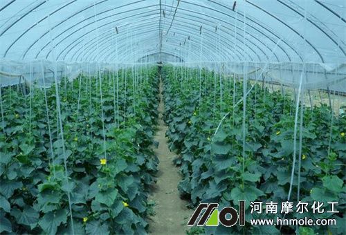 ����ʩ��Ҫ��