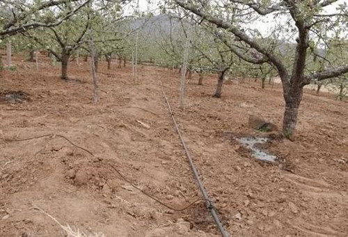 ˮ�ܷʺ�ˮ����Ƿ��(hu��)��ʧ