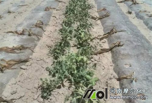 �����؜صͷ����x��