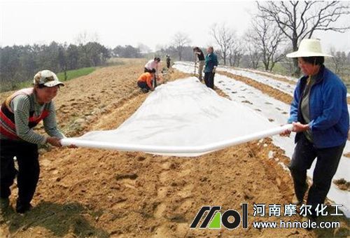 �����؜ش�ʩ3