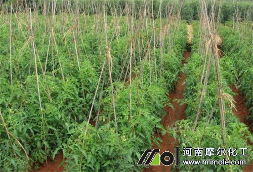 �߲�ˮ�ܷ�ʹ��ע��