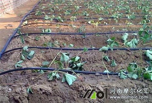 �ر��^��ˮ�ܷ�ʩ��