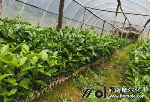 �N������x�ܷ�ˮ�ܷ�