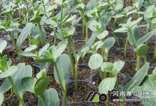 �N������x�ܷ�ˮ�ܷ�