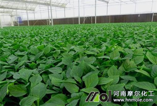 �N������x�ܷ�ˮ�ܷ�